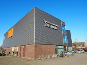 Hoenderik